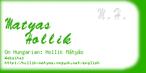 matyas hollik business card